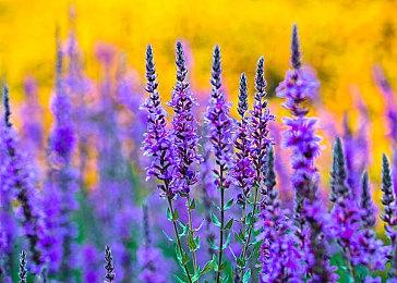 小岛新作《Overdose》首张屏摄截图泄露