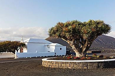 EA Play Live展前发布会仅40分钟 专注于近期游戏